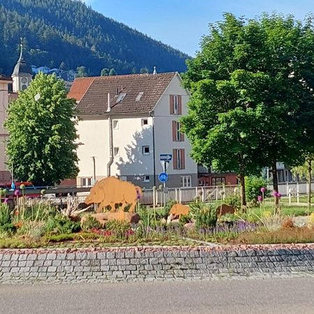 Apartement Am Waldrand Bad Wildbad Extérieur photo