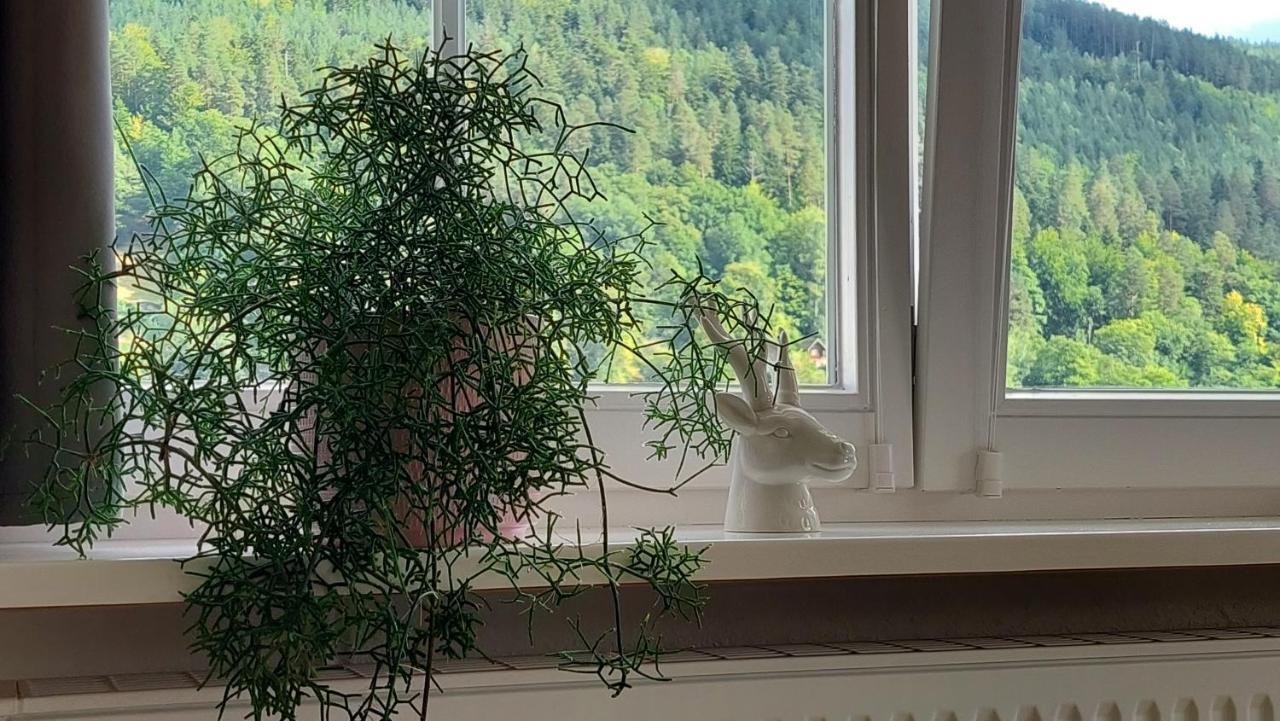 Apartement Am Waldrand Bad Wildbad Extérieur photo